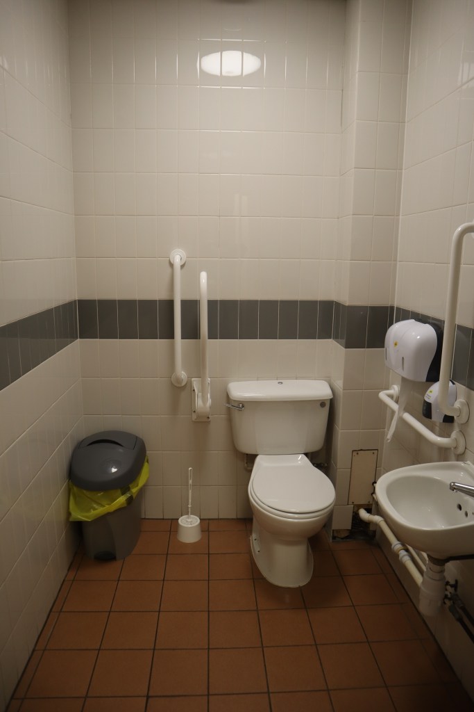 The inside of the accessible toilet. It is small, there is a bin in the turning space and no red emergency cord.